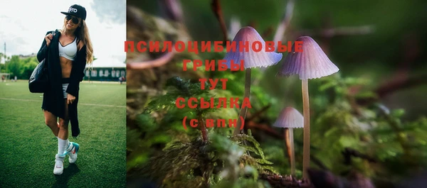гидропоника Бугульма