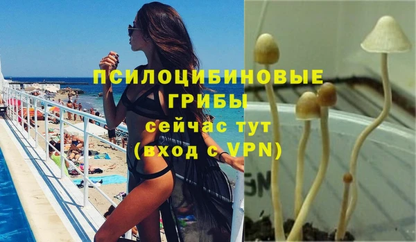 MESCALINE Бородино
