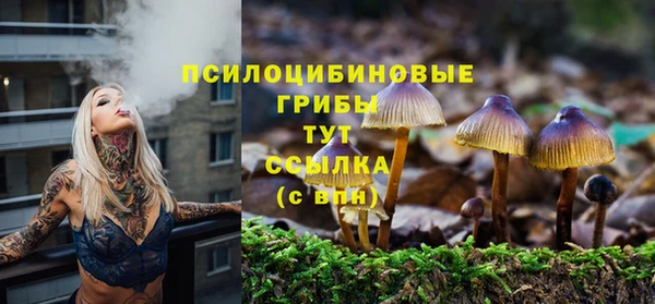 гидропоника Бугульма