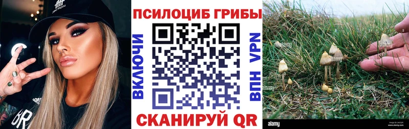 Купить  Арск  Галлюциногенные грибы Magic Shrooms 